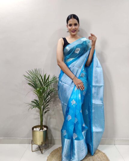 Blue Color Pure Kanchi Organza Jacquard Saree With Raw Squence Work & Silk Border - Navshtri Family
