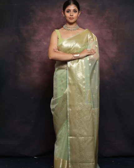 Light Green Colour New Design Pure Kanchi Organza Jacquard Full Worked Saree With Blouse & Silk Border - Navshtri Family