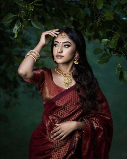 Maroon Color Premium Collection Soft Banarasi Silk Saree with Golden Zari Work - Navshtri Family