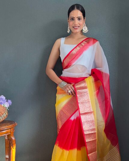 Multi Color Pure Kanchi Organza Jacquard Full Worked Saree With Blouse & Silk Border - Navshtri Family