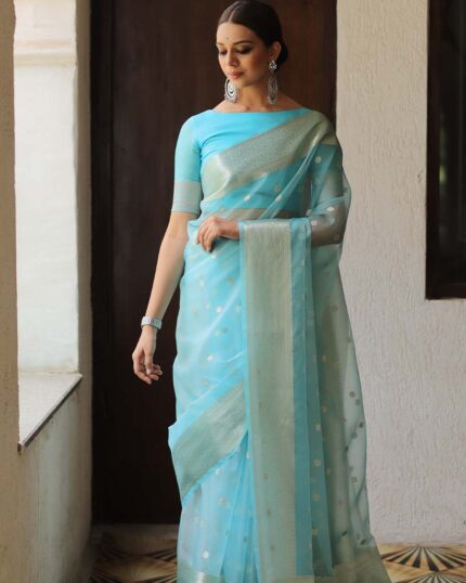 Sky Blue Colour New Design Pure Kanchi Organza Jacquard Full Worked Saree With Blouse & Silk Border - Navshtri Family