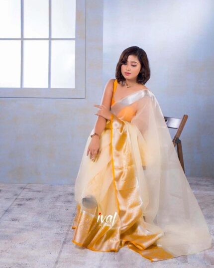 Yellow Color Kanchi Pure Organza Jacquard Saree with Pure Zari Weaving - Navshtri Family